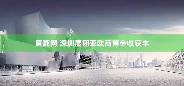 赢翻网 深圳展团亚欧商博会收获丰