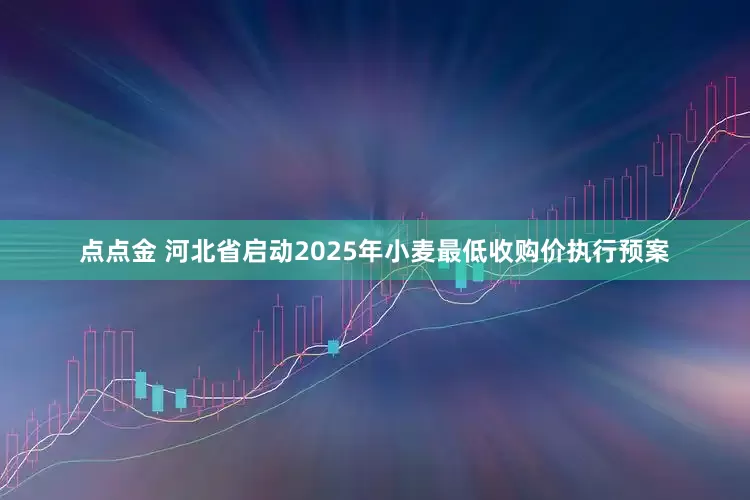点点金 河北省启动2025年小麦最低收购价执行预案