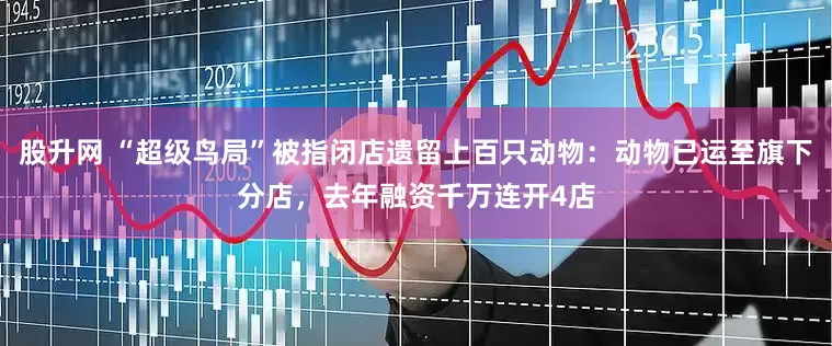 股升网 “超级鸟局”被指闭店遗留上百只动物：动物已运至旗下分店，去年融资千万连开4店
