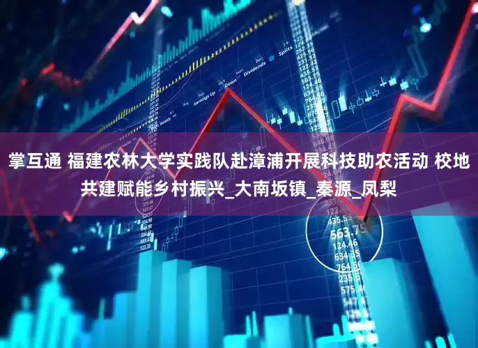 掌互通 福建农林大学实践队赴漳浦开展科技助农活动 校地共建赋能乡村振兴_大南坂镇_秦源_凤梨
