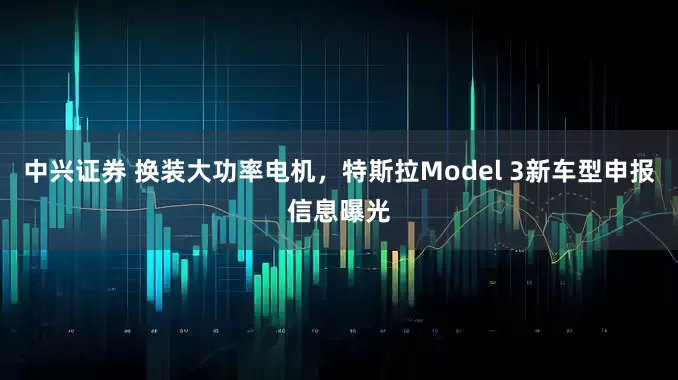 中兴证券 换装大功率电机，特斯拉Model 3新车型申报信息曝光