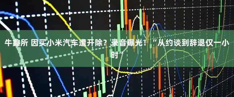 牛鑫所 因买小米汽车遭开除？录音曝光！“从约谈到辞退仅一小时”